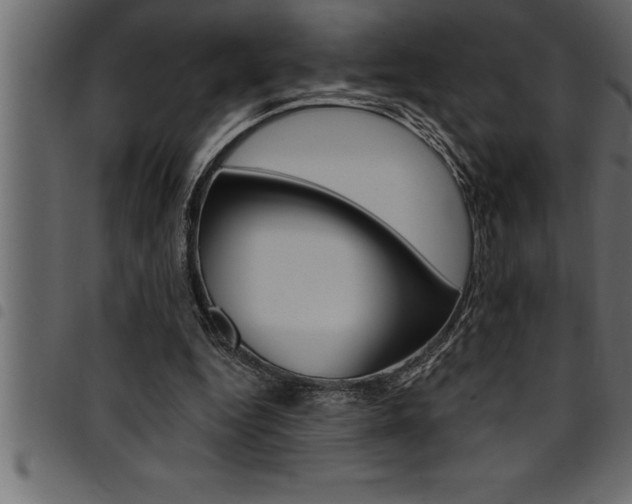 X0000094920344200711291027