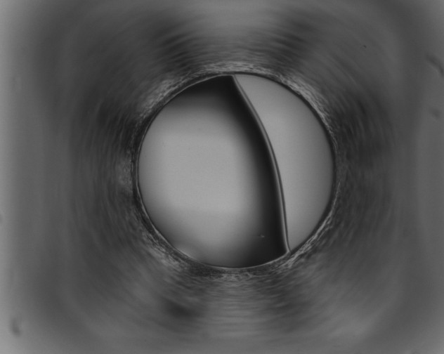 X0000094920345200711291027