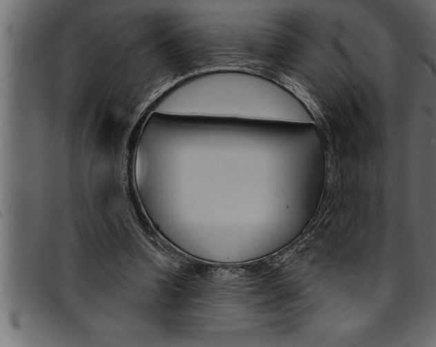 X0000094920346200711291027