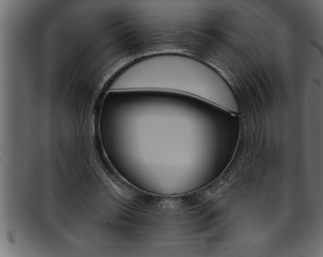 X0000094920350200711291027