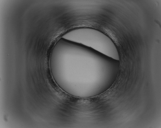 X0000094920354200711291027