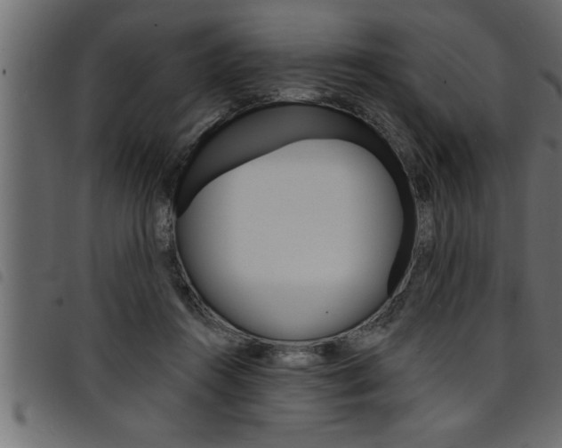 X0000094920360200711291027