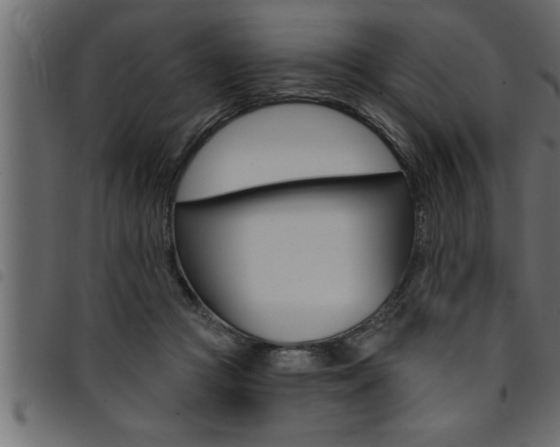X0000094920361200711291027