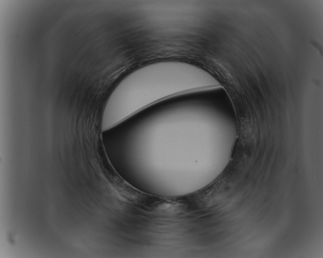 X0000094920364200711291028