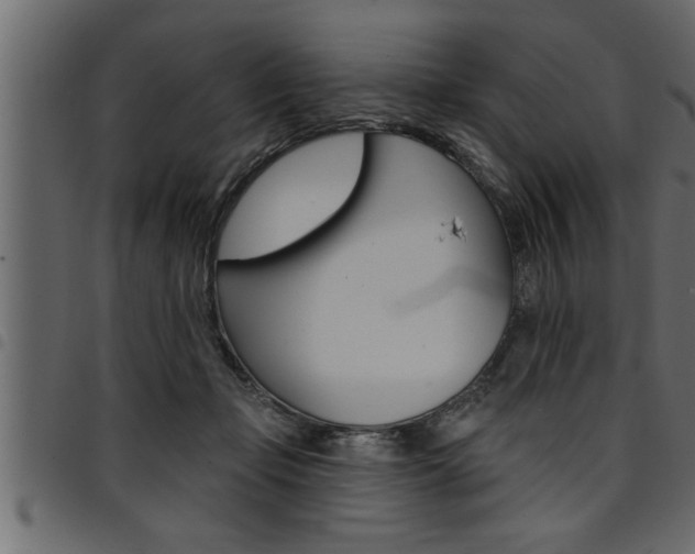 X0000094920365200711291028