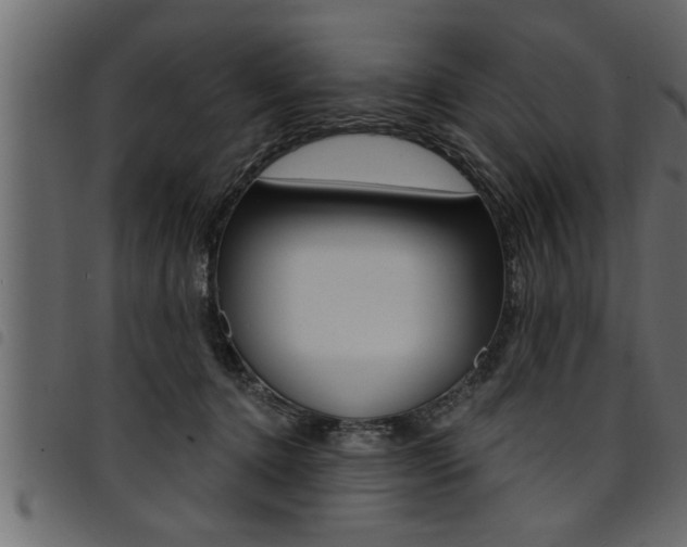 X0000094920368200711291028