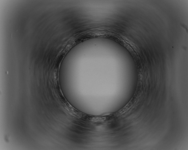 X0000094920373200711291028