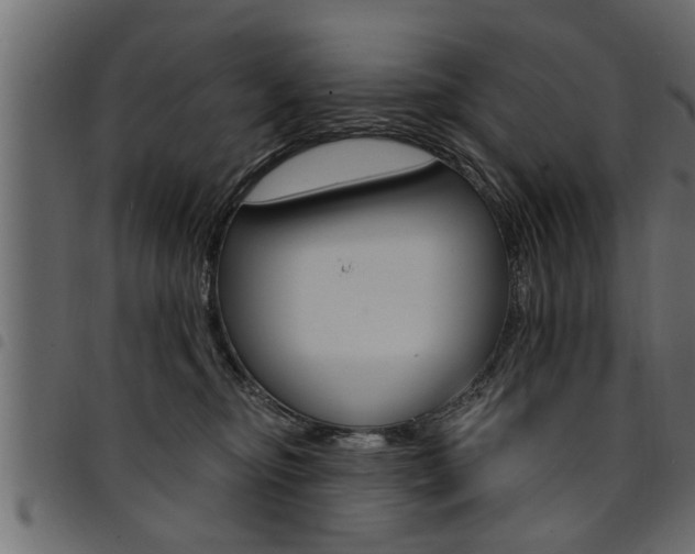 X0000094920374200711291028