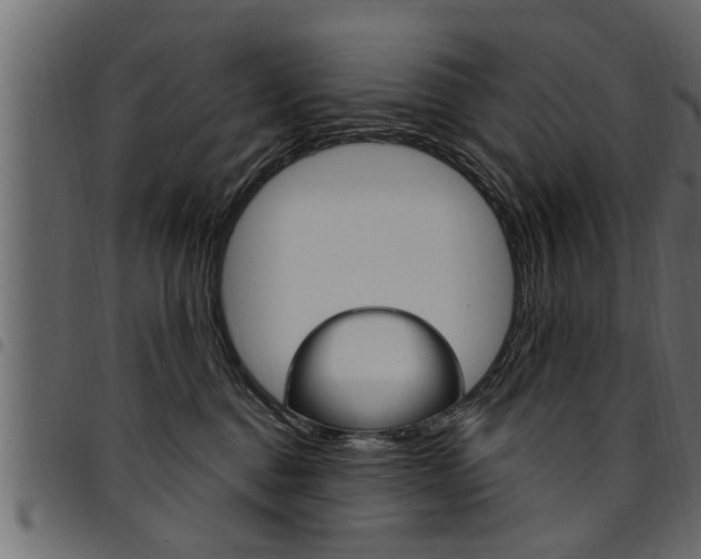 X0000094920376200711291028