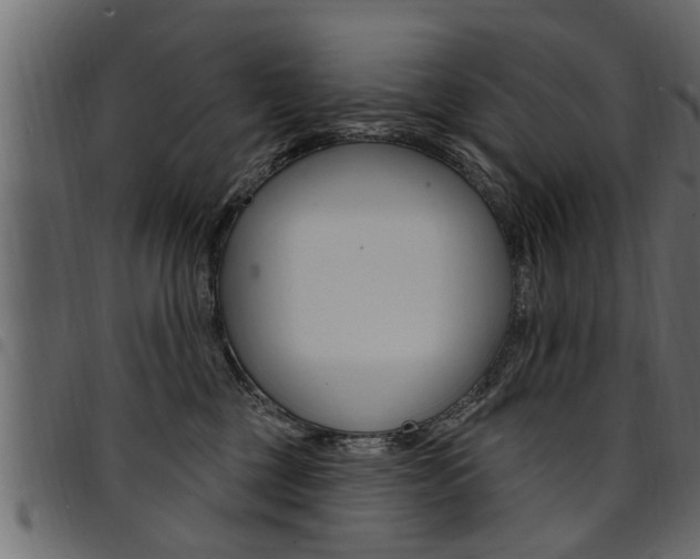 X0000094920377200711291028