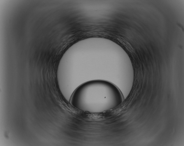 X0000094920380200711291028