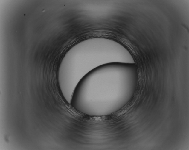 X0000094920381200711291028