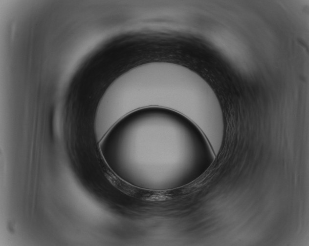 X0000094920383200711291028