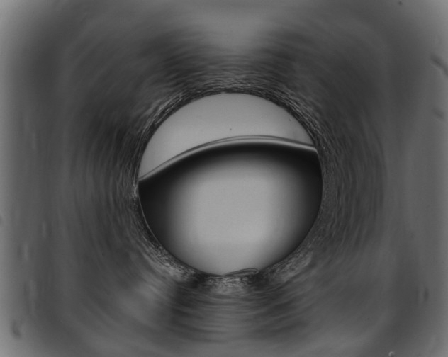 X0000094920384200711291028