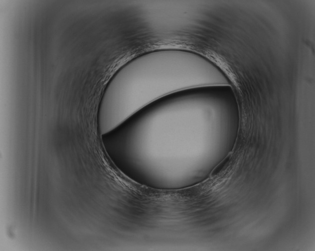 X0000094920385200711291027