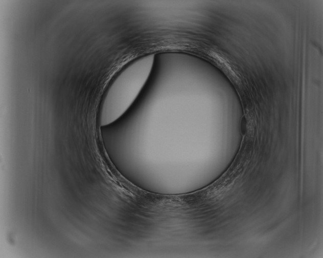 X0000094920386200711291027