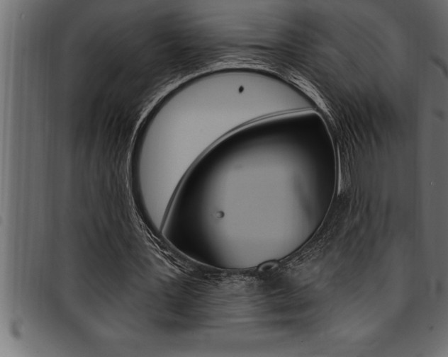 X0000094920387200711291027