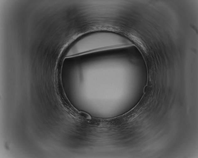 X0000094920388200711291027