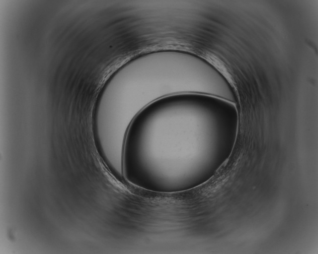 X0000094920389200711291027