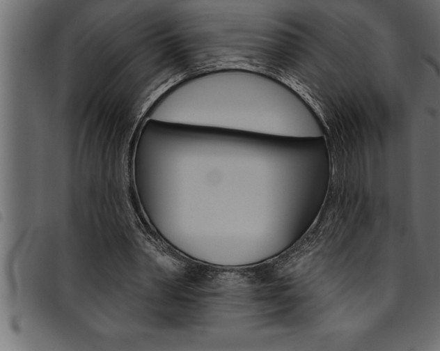 X0000094920390200711291027