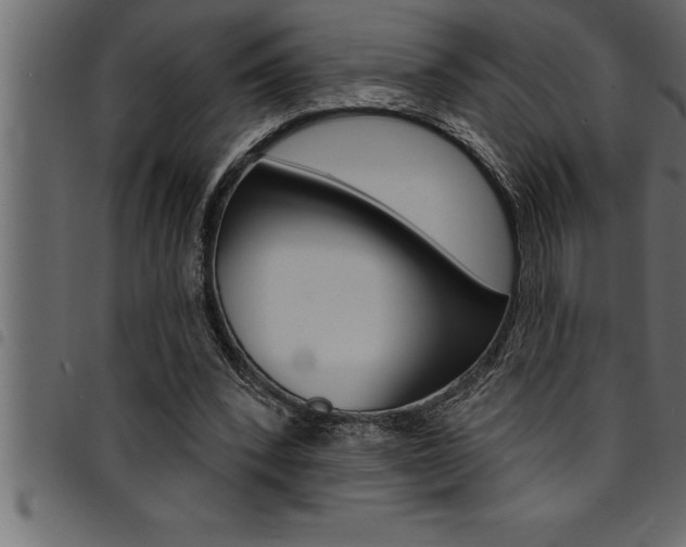X0000094920392200711291027