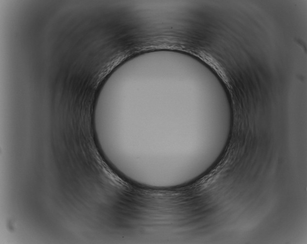 X0000094920393200711291027