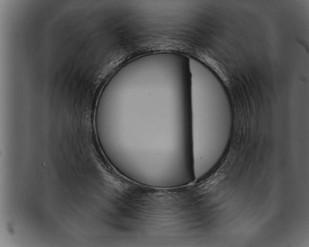 X0000094920394200711291027