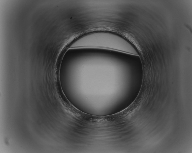 X0000094920395200711291027