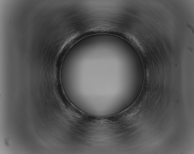 X0000094920396200711291027