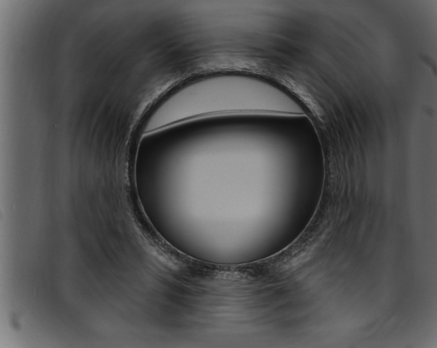 X0000094920399200711291027