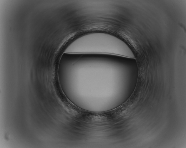 X0000094920400200711291027