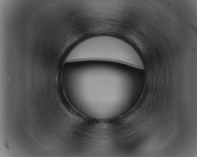 X0000094920404200711291027