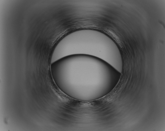 X0000094920405200711291027