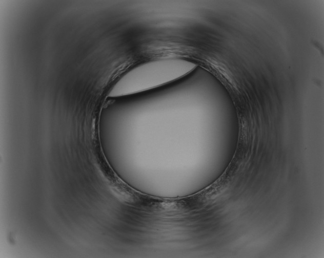 X0000094920406200711291027