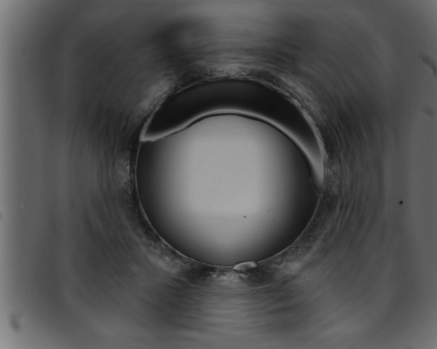 X0000094920407200711291027