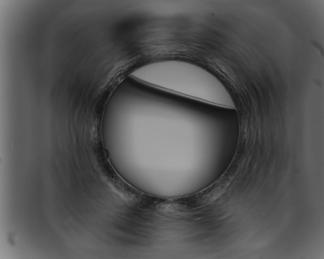 X0000094920408200711291027