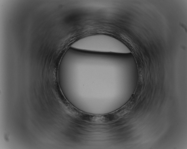 X0000094920410200711291027