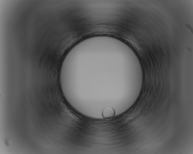 X0000094920411200711291027