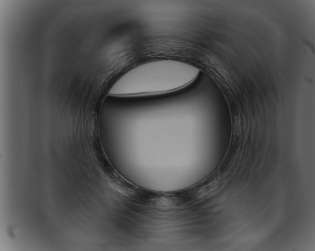 X0000094920412200711291027