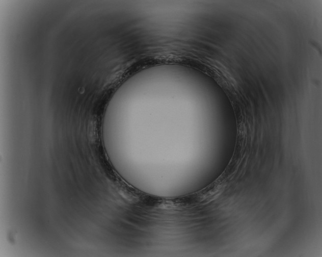 X0000094920416200711291027