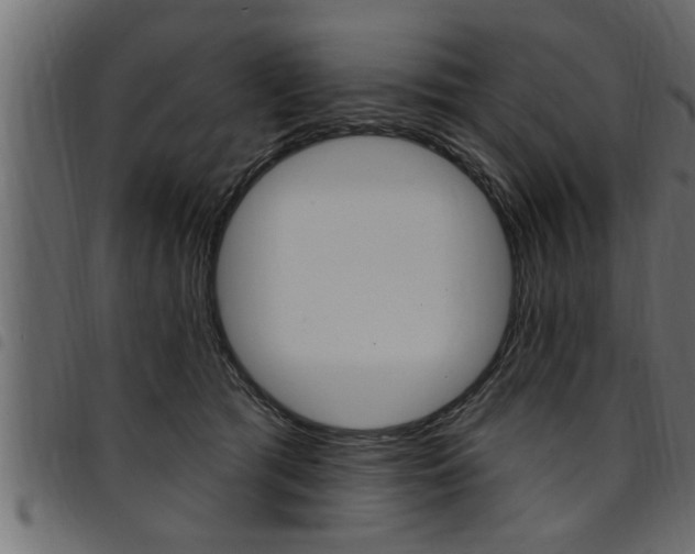 X0000094920417200711291027
