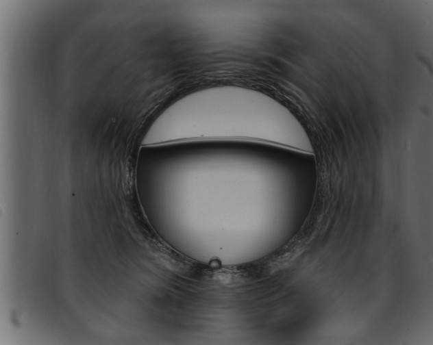 X0000094920420200711291027