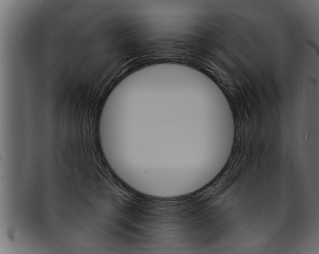 X0000094920421200711291027