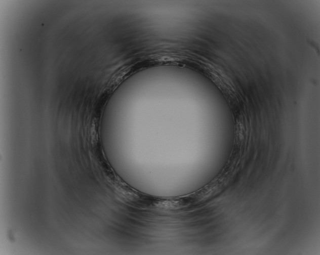 X0000094920422200711291027