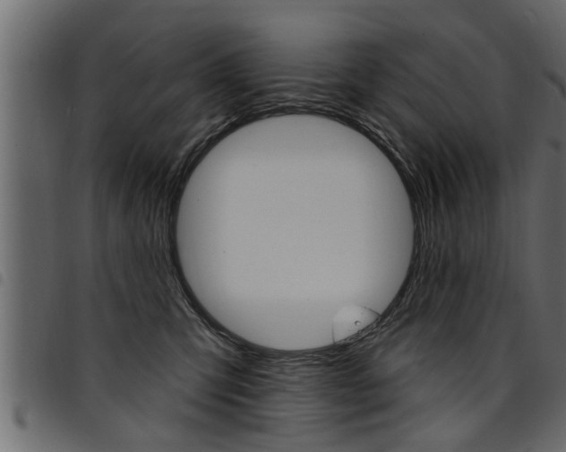 X0000094920423200711291027