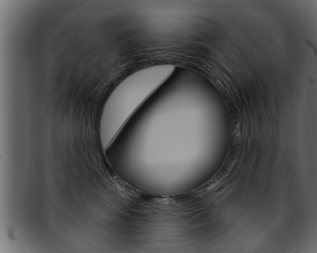 X0000094920424200711291027