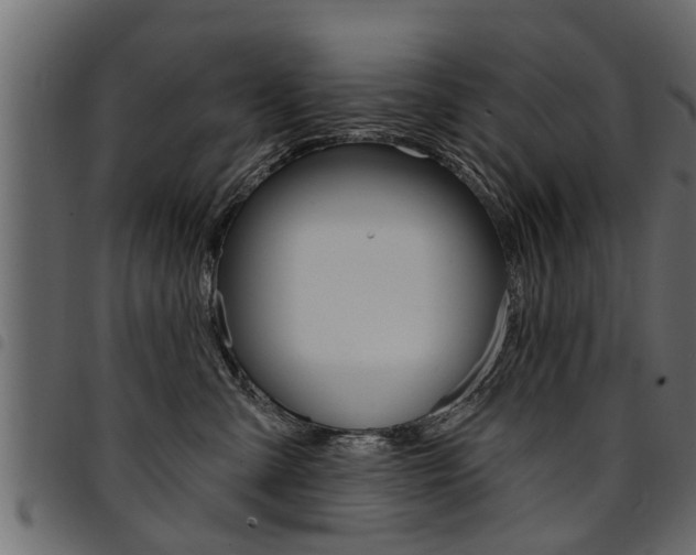 X0000094920427200711291027