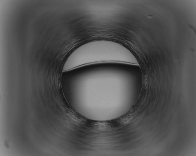X0000094920428200711291027