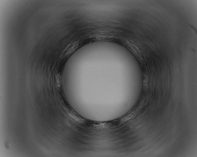 X0000094920430200711291027