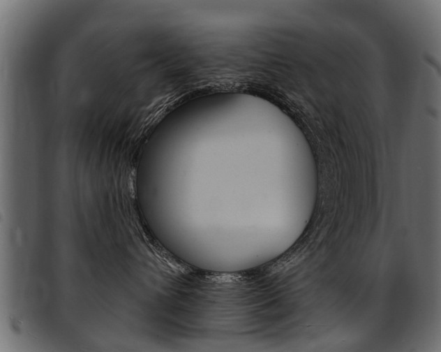 X0000094920432200711291027
